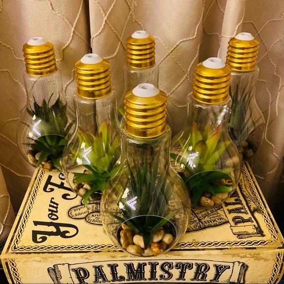 Terrarium Wedding Centerpiece (set of 8) - Picture 2 of 7